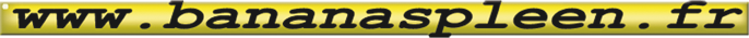 www